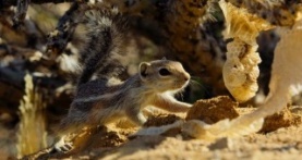 Крошечный мир 2 сезон 2 серия