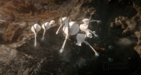 Космос: Возможные миры 1 сезон 2 серия