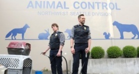 Контроль за животными 3 сезон 7 серия