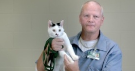 Я — убийца 2 сезон 6 серия