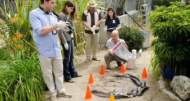 Декстер 6 сезон 4 серия