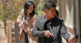 Морская полиция: Спецотдел 19 сезон 3 серия