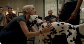 Чикаго в огне 8 сезон 3 серия