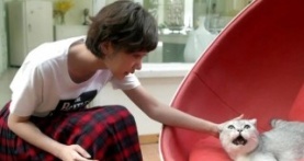 Легкая улыбка покоряет мир 1 сезон 23 серия