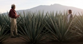 Монархиня 1 сезон 1 серия