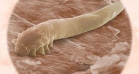 Разъяснения 3 сезон 7 серия