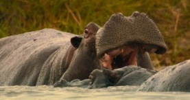 Великаны планеты 1 сезон 5 серия