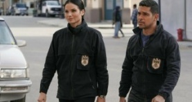 Морская полиция: Спецотдел 20 сезон 14 серия