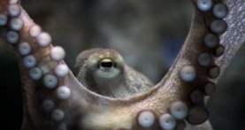 Разъяснения 2 сезон 3 серия