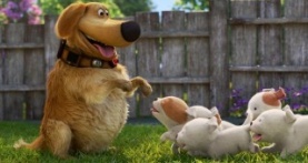 Будни Дага 1 сезон 2 серия