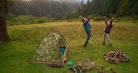 Дом цветов 1 сезон 10 серия