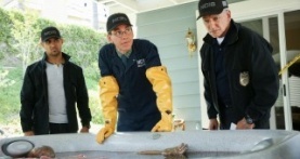 Морская полиция: Спецотдел 16 сезон 2 серия