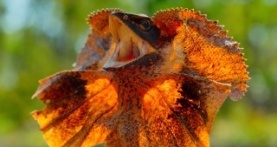 Крошечный мир 1 сезон 4 серия