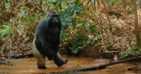 Великаны планеты 1 сезон 4 серия