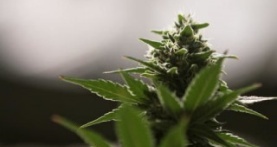 Разъяснения 1 сезон 12 серия