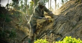 Зелёная планета 1 сезон 5 серия