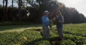 Гнилые 1 сезон 2 серия