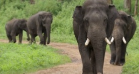 Наша планета 2 сезон 4 серия