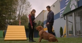 Тёрнер и Хуч 1 сезон 1 серия