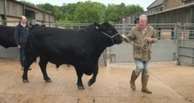 Ферма Кларксона 4 сезон 5 серия