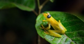 Крошечный мир 2 сезон 4 серия