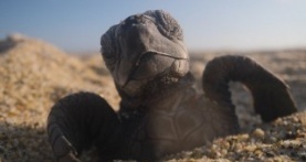 Наша планета 2 сезон 3 серия