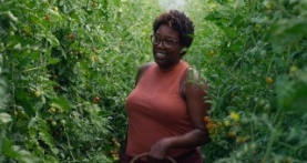 От шефа 6 сезон 1 серия