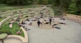 Тайный орден 2 сезон 6 серия