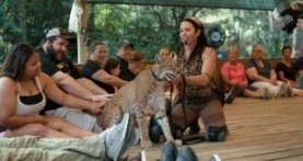 Король тигров: Убийство, хаос и безумие 1 сезон 2 серия