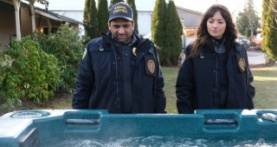 Контроль за животными 1 сезон 4 серия