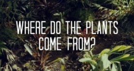 Возвращение домой 1 сезон 4 серия