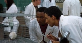 Сообщество 1 сезон 10 серия