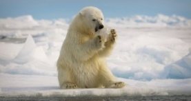 Великаны планеты 1 сезон 10 серия