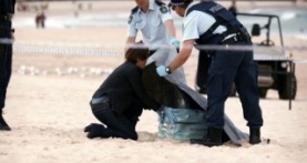 Вершина озера 2 сезон 1 серия