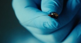 Искусство шпионажа 1 сезон 4 серия