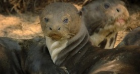 Великаны планеты 1 сезон 3 серия