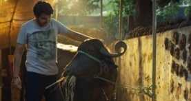 Хостел Дейз 2 сезон 4 серия