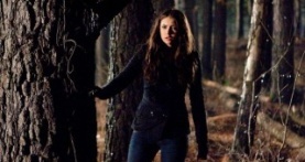 Дневники вампира 1 сезон 17 серия