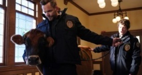 Контроль за животными 1 сезон 5 серия