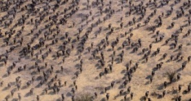 Наша планета 2 сезон 1 серия