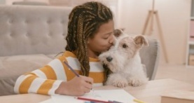 Разъяснения 3 сезон 4 серия