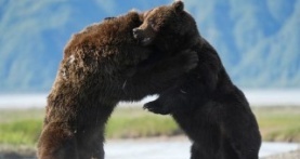 Великаны планеты 1 сезон 6 серия