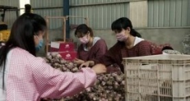 Гнилые 1 сезон 3 серия