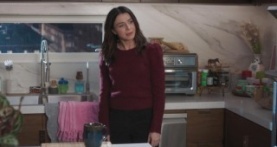 Анатомия страсти 20 сезон 4 серия