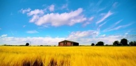 Утопия 2 сезон 4 серия