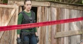 Полиция Чикаго 5 сезон 5 серия