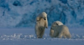 Земля ночью в цвете 2 сезон 6 серия