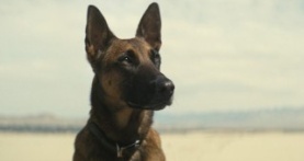 Фоллаут 1 сезон 7 серия