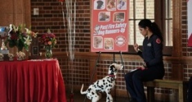 Чикаго в огне 7 сезон 11 серия