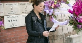 Полиция Чикаго 2 сезон 21 серия